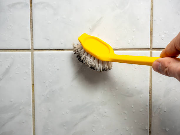 Certified Mold Removal in Taft Heights, CA
