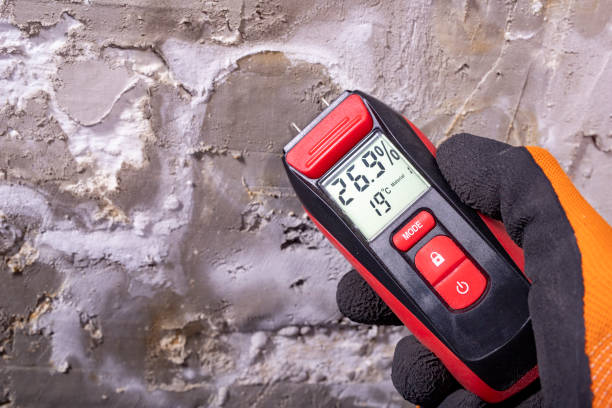 Best Mold Damage Repair  in Taft Heights, CA