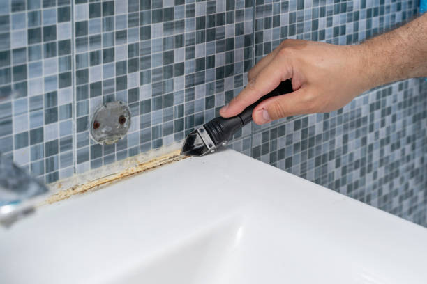 Best Mold Remediation  in Taft Heights, CA